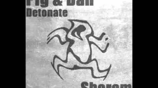 Pig & Dan - Detonate (Ethnic Mix)