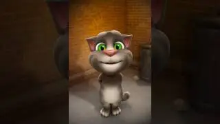Download the free app of talking tom