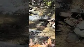 Take a 43 second moment