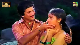பல கோடி ரசிகர்களின் இதயம் கவர்ந்த காதல் பாடல்கள் | Tamil Love Duet Melody Songs🎵💖 | #ilayaraja #hits