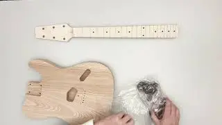 Snakehead TL DIY Guitar kit from Vibeworks Guitars