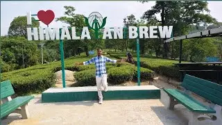 &ldquo;Chai Aur Nature Ka Perfect Combo | Himalayan Brew Tea Garden #travelshorts #travel #himachalprades