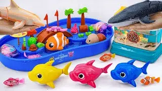 [Toy asmr] Crocodile & RC Shark & Baby Shark &Zuru Robo Alive Aquarium ASMR Satisfying with Unboxing