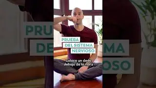 As&iacute; sabr&aacute;s c&oacute;mo est&aacute; tu Sistema Nervioso 🌀