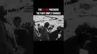 What Happened to the 91,000 Axis Prisoners of Stalingrad?