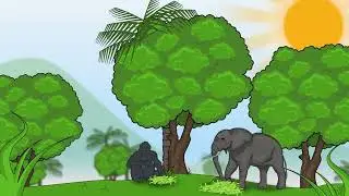 INTRO ACPF