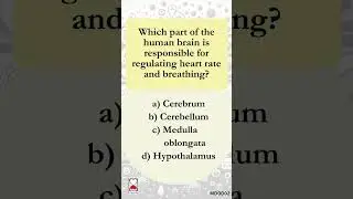 Are You Smarter Than a Doctor? Test Your Medical Knowledge! Q2