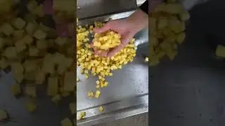 Automatic Ginger Apple Potato Carrot Chili Pepper Potato Kale Cutting Machine