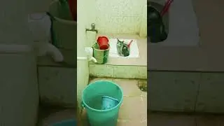 funny 🐱🐱🐱🐱🐱🐱🐱🐱🐱🐱