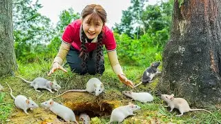 How to Catch Small White Mice in Forest - The Days of Being 18 | Anh Thu