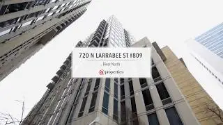 Luxurious River North Condo - 720 N Larrabee St 809