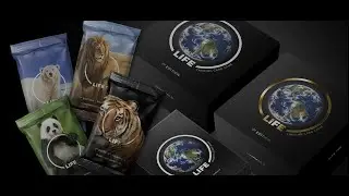 An interview with Harry from Life TCG Collectors Cards at AQUAH 2024