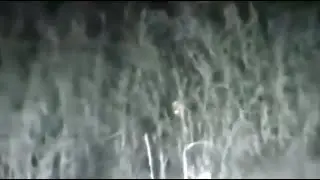 Gray Alien Hiding In The Bushes - Серый Пришелец Прячущийся в Кустах
