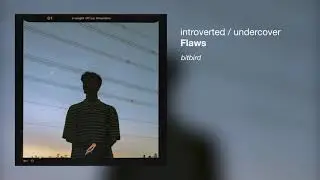 Flaws - introverted / undercover