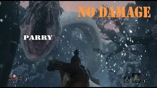 sekiro -  big snake parry (no damage)