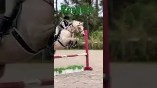🍌! #equestrian #funny #horse #edit