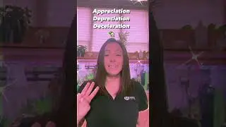 Housing 🏡 - Appreciation 🐆 , Depreciation 🐠 , and **Deceleration 🐌