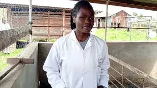 Smart Pig Farming Hacks