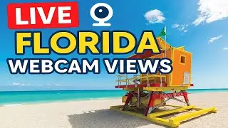 🌴Florida Live: Webcam Views! - MIAMI - FORT LAUDERDALE - ORLANDO - KEY WEST✨🌴