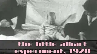 the little albart experiment, 1920 in hindi | psychological experiment | GK | Douglas merritte |