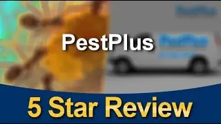 PestPlus Dublin 12 Excellent Five Star Review by Rita S.