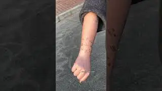 🎵⏳ 