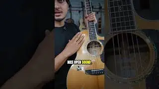 🤯High-End Tone at a Midrange Price