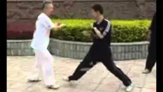 Ba Fan Shou (八翻手) techniques