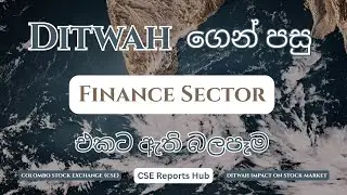 Sri Lanka Finance Company Crisis Explained | NPL Surge and Company Failures After Ditwah | CSE