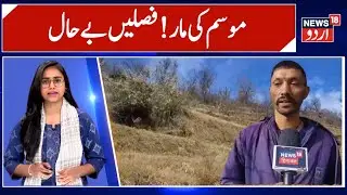 Weather Woes in Chamba: Farmers, Apple Growers Struggle Amid Climate Change | News 18 Urdu