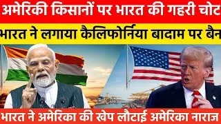 भारत अमेरिका ट्रेड वॉर | California Almond Ban | इंडिया ने कैसे हिला दिया पूरा USA
