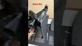 Арфа с ловцом духовых инструментов