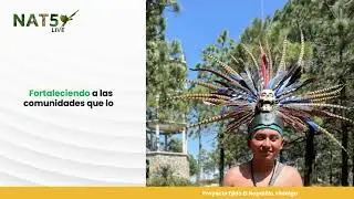 Cr&eacute;ditos verificados de naturaleza positiva (CVNP) en el Market Place Virtual.