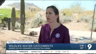 Arizona Game and Fish ensures wildlife survival through high summer temperatures