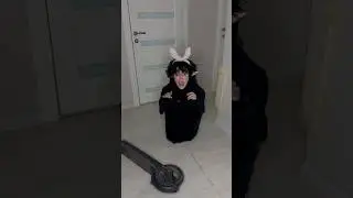 Little monster in my house