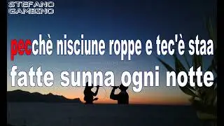 karaoke  Nino D'Angelo  Luntano senza e te