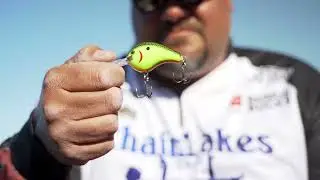 Fishing Bagley Crankbaits for Bass