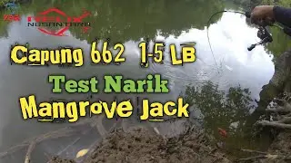 RELIX NUSANTARA CAPUNG 662 1-5 LBS VS MANGROVE JACK BESAR