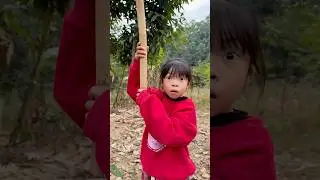 Survival Skills: 🍁Simple but Useful in jungle #bushcraft #camping #outdoors #useful #shorts 🏞️🪾