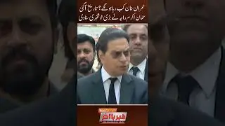 Salman Akram Reveals PTI&rsquo;s Plan B for Imran Khan&rsquo;s Release | PTI Updates #Shorts