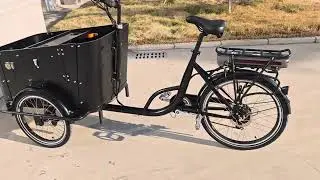 Electric Dutch cargo bike Danmark cargo bicycle