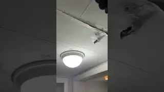 water damage drips from the ceiling