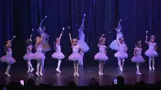 Fadas Lilases - 3ª sessão - Espetáculo de Celebração - GAED 2025