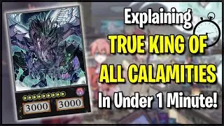 NEW SERIES!! Explaining TRUE KING OF ALL CALAMITIES In Under 1 Minute!