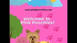 Pink Poochies, the best Mobile Grooming service in the Houston area!