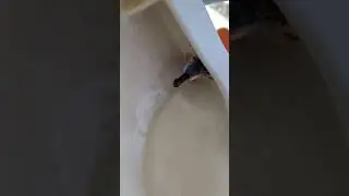Can't be stuck if it's liquid!
