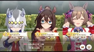 [Umamusume] Aquarius cup Final (Vertical Screen)