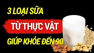 [TRỰC TIẾP] 3 Loại Sữa Thực Vật Có Hàm Lượng Canxi Tự Nhiên Cao Nhất | Sức khỏe người cao tuổi