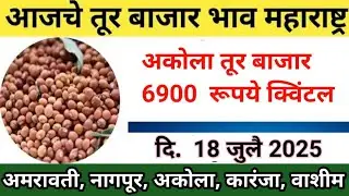 🔴सर्वात जास्त भावAkolaअकोला 6900रु #आजचे तूर बाजार भाव#Latur Tur Bajar Bhav #Tur market Rate Jalana