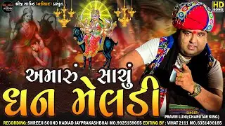 Pravin Luni | Amaru Sachu Dhan Meldi-અમારું સાચું ધન મેલડી | Meldi Maa Regdi | Shreeiji Sound Nadiad